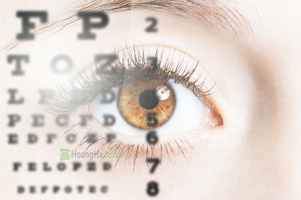 shutterstock 529599115 1