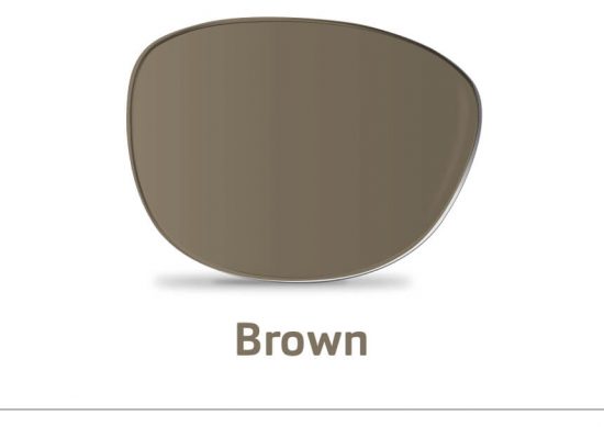 2019 brown lenses placeholder